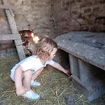 アパート A La Ferme Chez Magali カンブレー