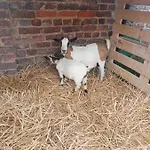아파트 A La Ferme Chez Magali