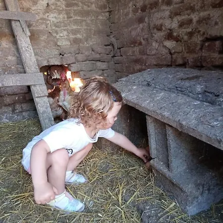 شقة A La Ferme Chez Magali كامبراي