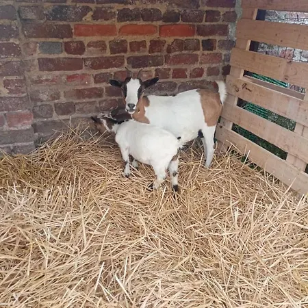 Appartement A La Ferme Chez Magali